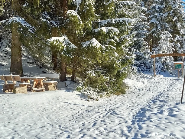 Im Zinsbachtal an der Ameisenstraße