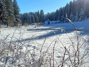 Blick ins Zinsbachtal