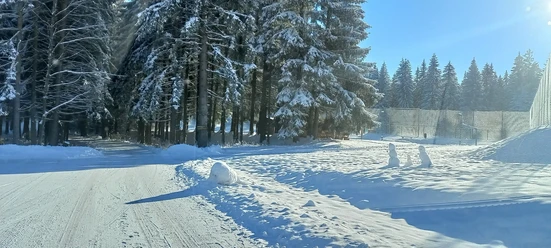 Waldpark Grünheide