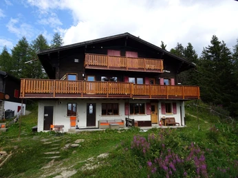 Aussenansicht, Sommer