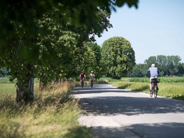radtour-halbtag-bad-aibling-radwege.jpg