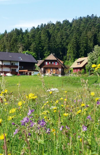 Landhaus Anja mit Ferienhäusern Kienberg und Hohen