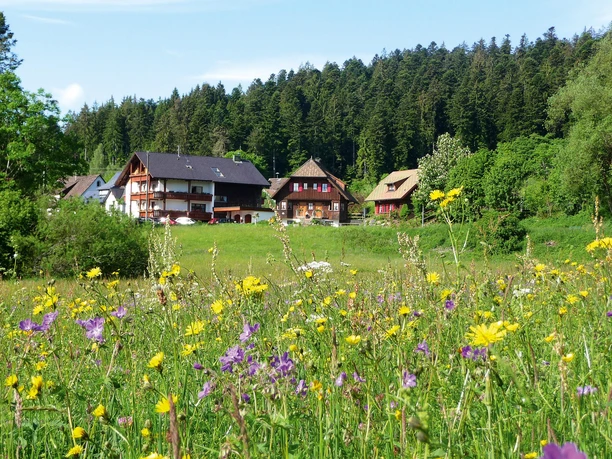 Landhaus Anja mit Ferienhäusern Kienberg und Hohen