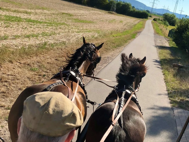 Kutschfahrt Planwagenfahrt Feld Kutschfahrt Planwagenfahrt Feld Rinteln