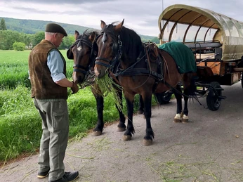 Kutschfahrt Planwagenfahrt Kutscher Kutschfahrt Planwagenfahrt Kutscher Rinteln