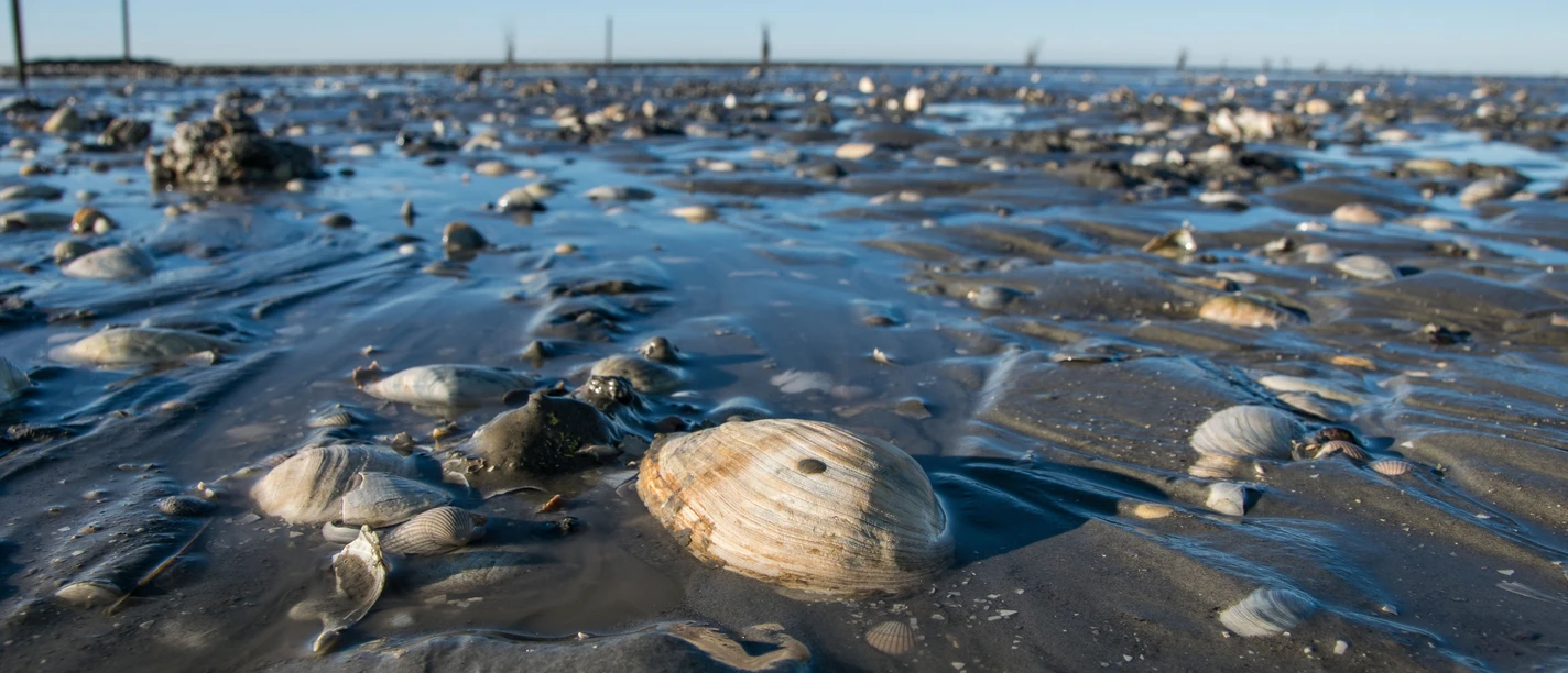 watt fuer alle-min.jpg