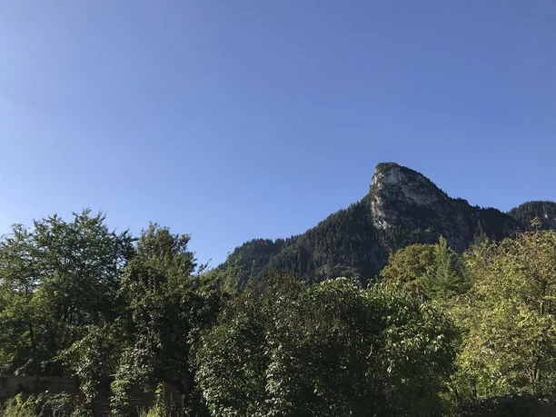 Aussicht auf den Hausberg "Kofel" vom Garten aus