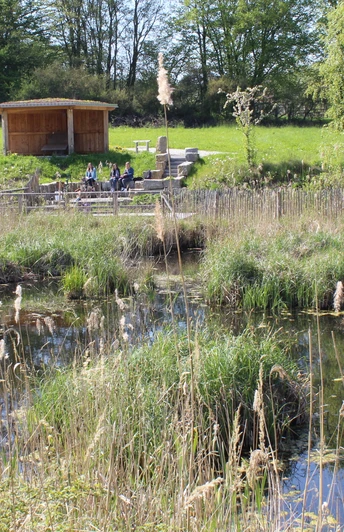 99_Bildarchiev_Moor_YP(c) GUT.jpg Moorstich von innen