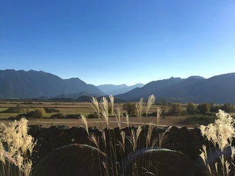 A1C935A8-09D5-403D-AEDA-626F9F620FA9