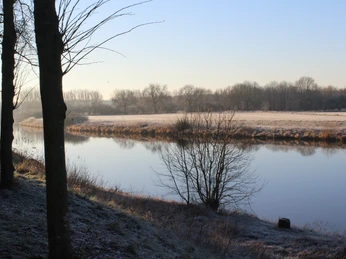 Weser Wintermorgen an der Weser mit vereisten Bäumen und ruhigem Wasser, eingefangen bei Sonnenaufgang.