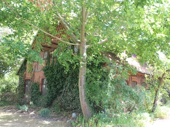 Dat Lüttke Hues, Petershagen Ein von Blättern umgebenes Backsteinhaus mit Efeu, unter großen grünen Bäumen in sonnigem Garten.