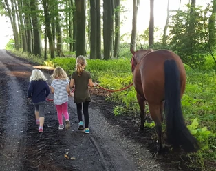 Pferd Kinder Wald