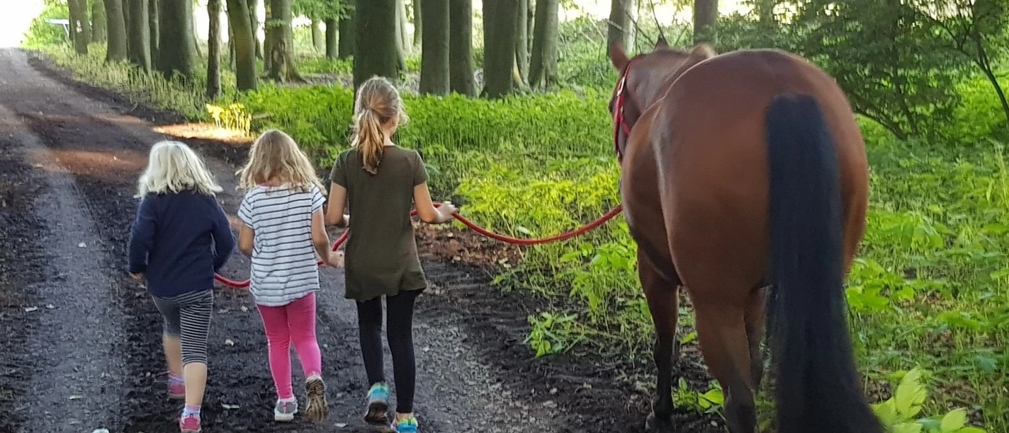 Pferd Kinder Wald