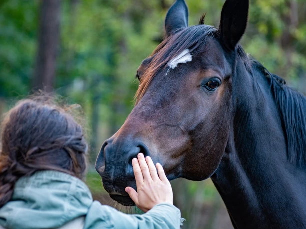 Auszeit mit Pferd.jpg