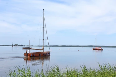 Steinhuder Meer Ruhiges Gewässer mit Segelbooten und weitläufigem Horizont am Steinhuder Meer unter blauem Himmel.