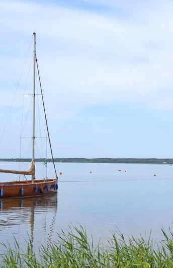 Steinhuder Meer Ruhiges Gewässer mit Segelbooten und weitläufigem Horizont am Steinhuder Meer unter blauem Himmel.