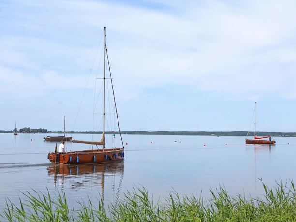 Steinhuder Meer Ruhiges Gewässer mit Segelbooten und weitläufigem Horizont am Steinhuder Meer unter blauem Himmel.
