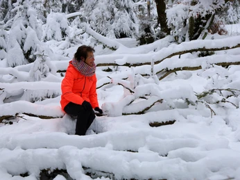 waldbaden-winter-schnee c) wintersportarena-sauerland-susanne-schulten.jpg