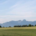 bad-aibling-panorama-alpen.jpg