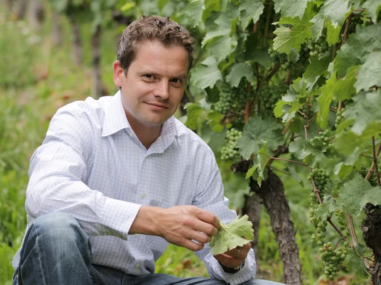 neues Bild Weingut Alexander Laible