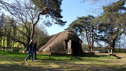 Historischer Schafstall in Börger - Wandern im Emsland ©Emsland Tourismus GmbH (14).jpg Zwei Wanderinnen gehen an einem reetgedeckten historischen Schafstall im Wald bei Börger vorbei.