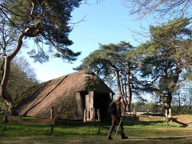 Historischer Schafstall in Börger - Wandern im Emsland ©Emsland Tourismus GmbH (12).jpg Reetgedeckter historischer Schafstall im Wald bei Börger mit Wanderer unter hohen Kiefern.