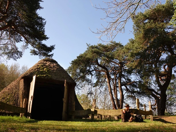 Historischer Schafstall in Börger - Wandern im Emsland ©Emsland Tourismus GmbH (4).jpg Ein traditioneller Schafstall mit Reetdach steht von Bäumen umgeben im warmen Sonnenlicht.