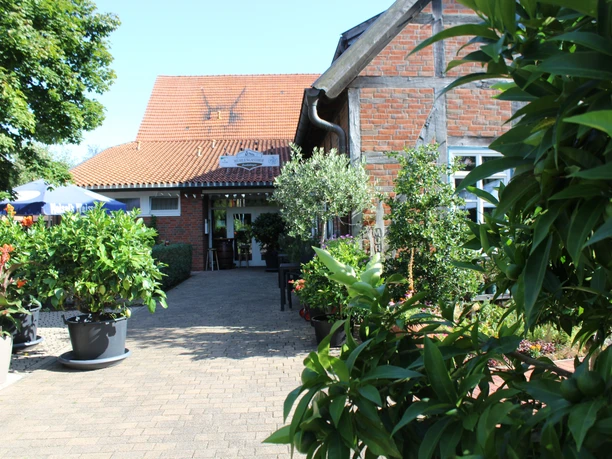 Mühlengasthof, Landesbergen Der Mühlengasthof in Landesbergen präsentiert einen Eingang mit Ziegelmauerwerk und üppiger Pflanzenpracht.