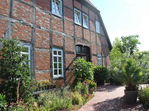 A traditional half-timbered house surrounded by lush plants and a cobbled path.
