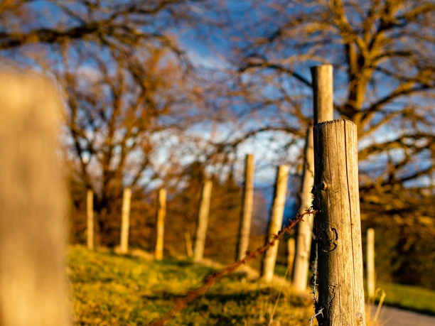Impressionen im März