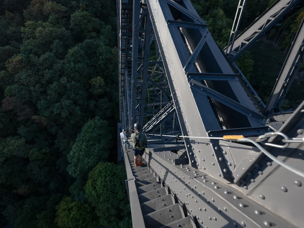 Brückensteig Blick von einer Brücke runter auf einen Wald