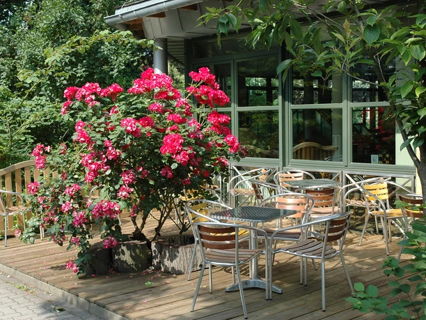 Grandhotel Esplanade - Biergarten