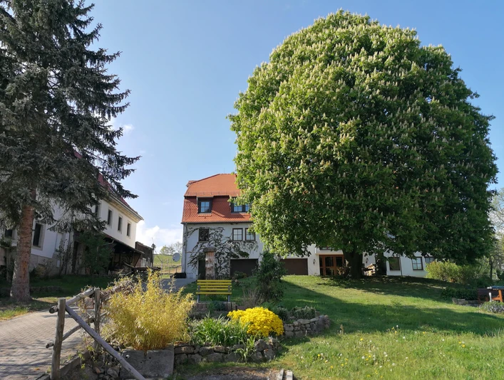 Herzlich Willkommen im Gute Laune Hof!