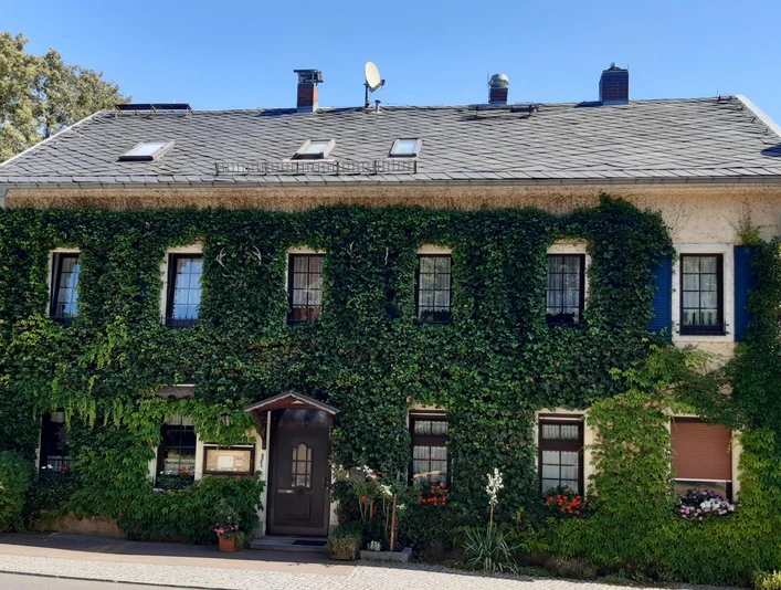 Herzlich willkommen in der Pension Erholung!