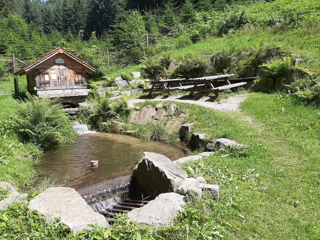 Schnapsbrunnen in Seebach
