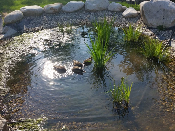 Kurpark Seebach