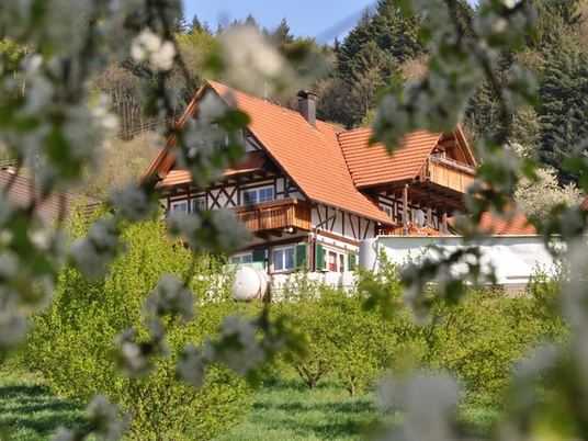 idyllisch - der Winzerhof Doll in Kappelrodeck
