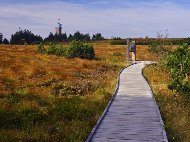 Herbstliche Hornisgrinde copyright Peter Jülg