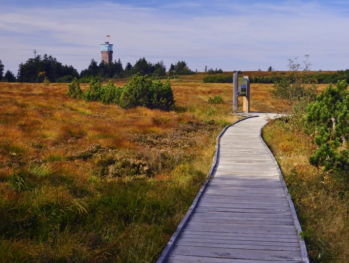 Herbstliche Hornisgrinde copyright Peter Jülg