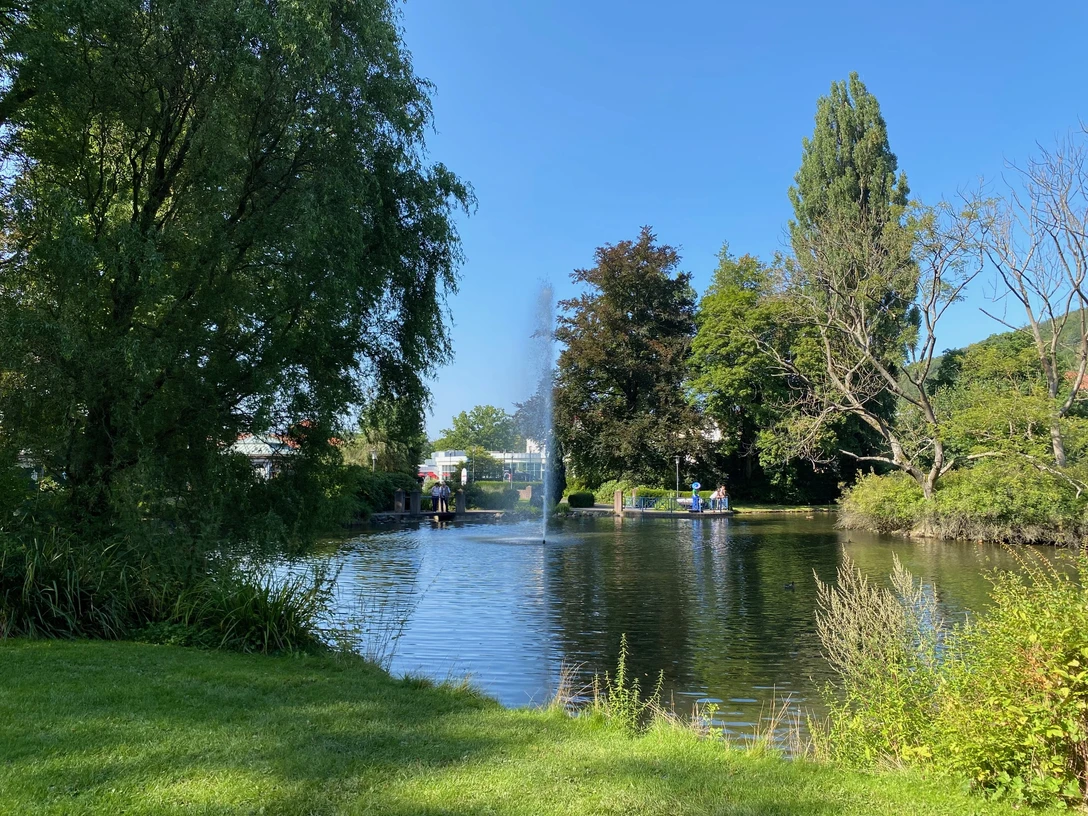 Schwanenteich im Bad Wildunger Kurpark in Reinhardhausen.