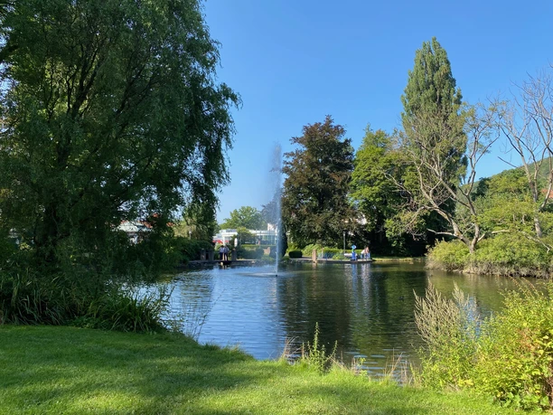 Schwanenteich im Bad Wildunger Kurpark in Reinhardhausen.
