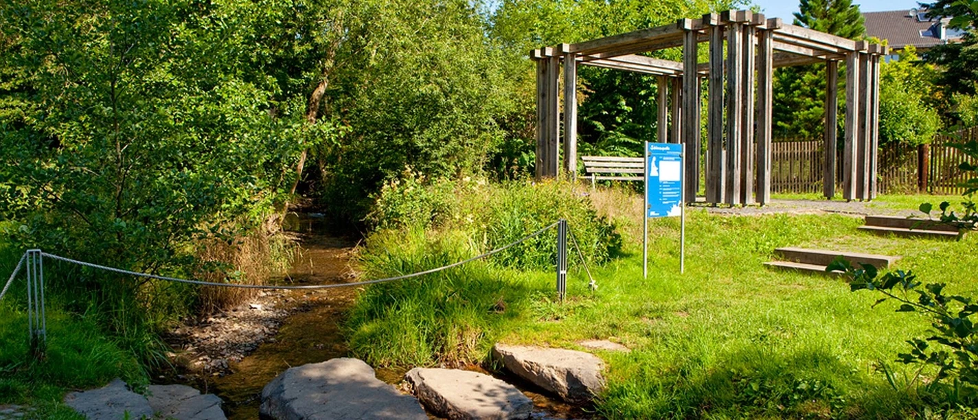Schlossquelle im Bad Wildunger Kurpark.