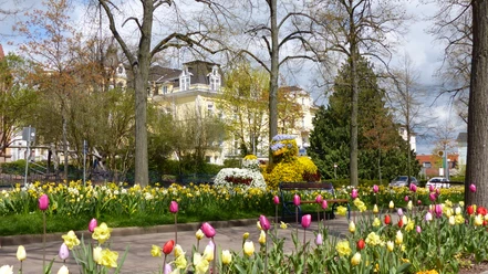 BW_©Staatsbad2016_Brunnenallee_02.jpg