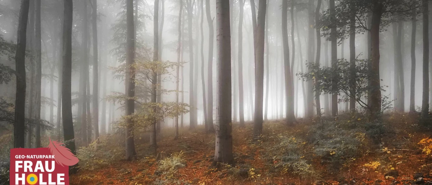 Hoher Meißner in Herbstfarben