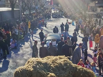 Umzug Fasnacht Brig Glis Naters.jpg
