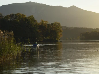 Staffelsee bei Seehausen