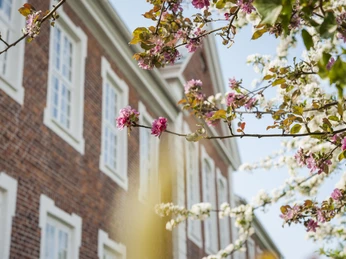 Kreismuseum Nicole Franke.jpg