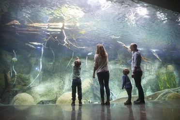 Une famille se tient devant le bassin panoramique de l'aquarium du zoo de Leipzig et s'émerveille du monde sous-marin, famille, enfants, loisirs, excursion