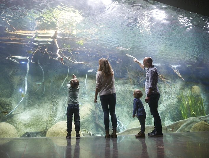 Panoramabecken im Aquarium des Zoo Leipzig - Leipzig mit Kindern Eine Familie steht vor dem Panoramabecken im Aquarium des Zoo Leipzig und bestaunt die Unterwasserwelt, Familie, Kinder, Freizeit, Ausflug