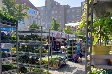wochenmarkt.jpg Stände mit Blumen und Gemüse auf einem belebten Wochenmarkt, umgeben von Gebäuden und Besuchern.
